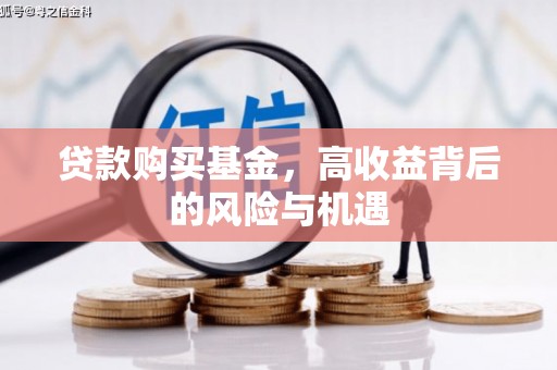 汝阳贷款购买基金，高收益背后的风险与机遇
